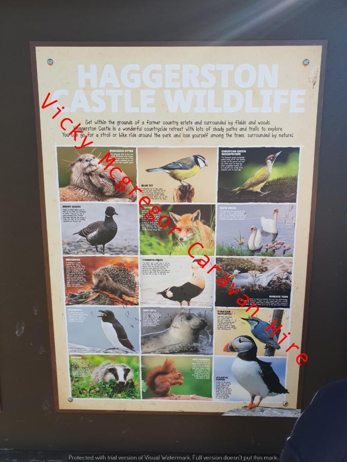 特维德上游的贝里克 Haggerston Castle Tower Lawn Hire酒店 外观 照片