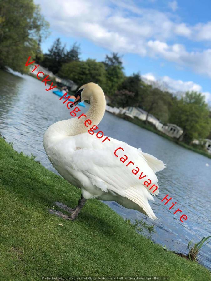 特维德上游的贝里克 Haggerston Castle Tower Lawn Hire酒店 外观 照片